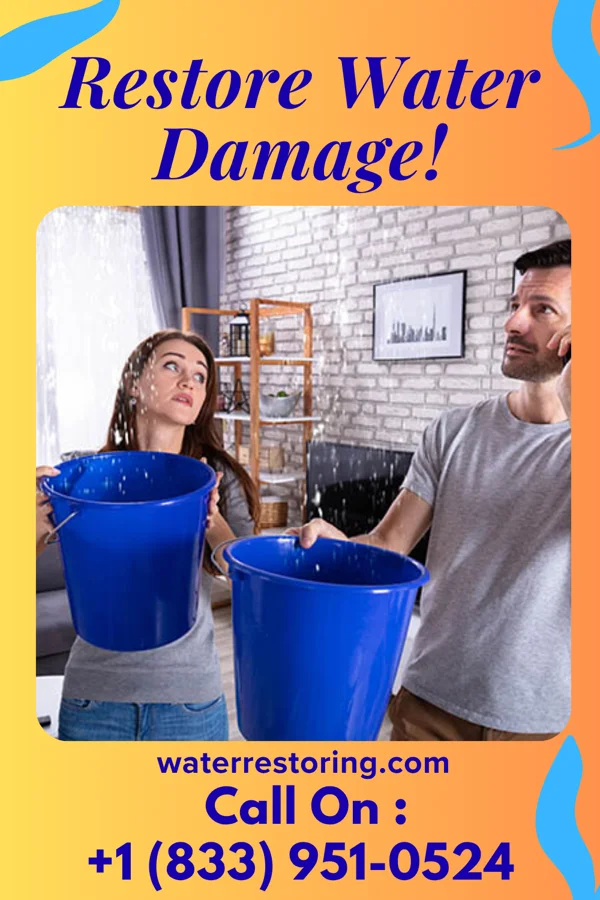 water restoration Ideal Drying Professionals Gordon