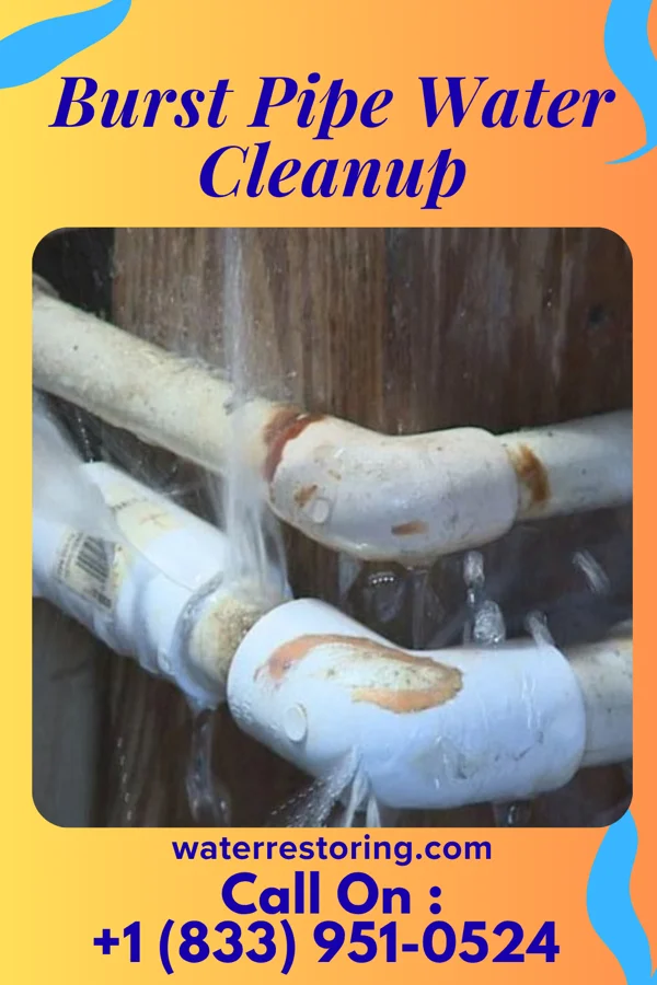 Burst Pipe Water Cleanup in Gordon, PA
