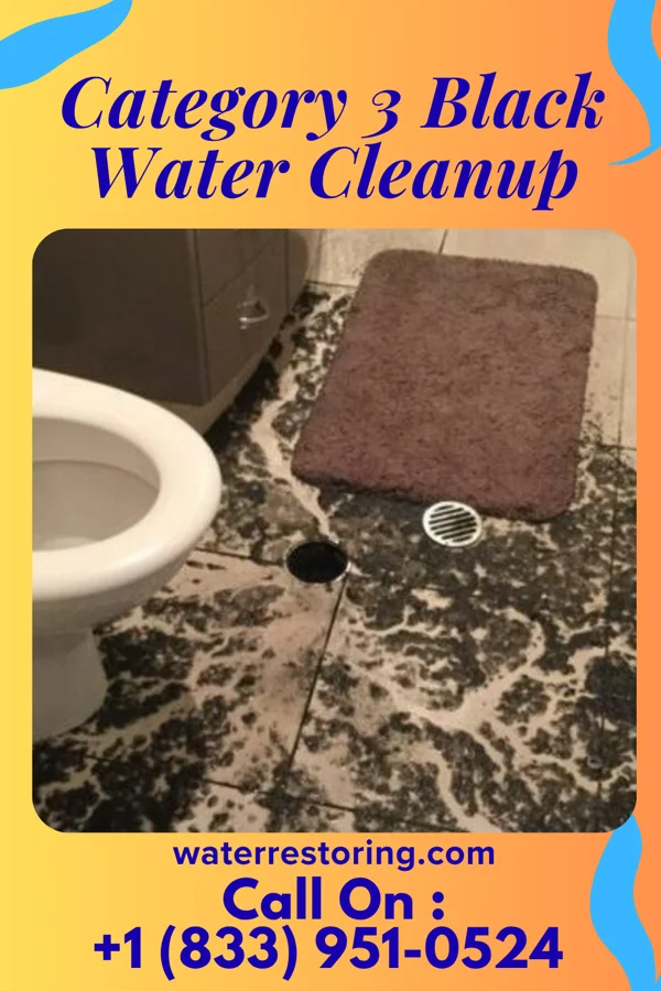 Category 3 Black Water Cleanup in Gordon, PA