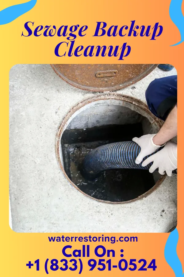 Sewage Backup Cleanup in Gordon, PA